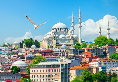 İstanbul 'daki Süleyman Camii