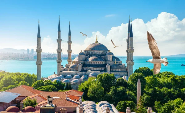 Blue Mosque and Bosphorus — Stock Photo, Image