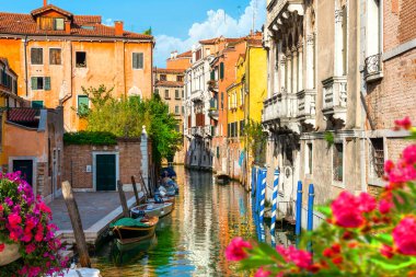 Flowers on a canal