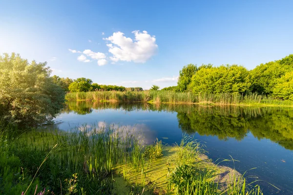 Dag op een kalme rivier — Stockfoto