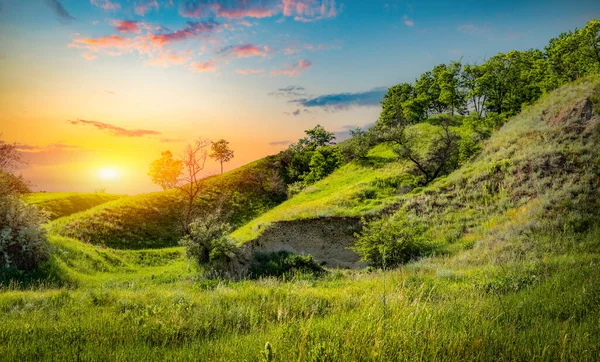 Campos verdes de hierba — Foto de Stock