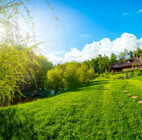 Beautiful green field — Stock Photo, Image