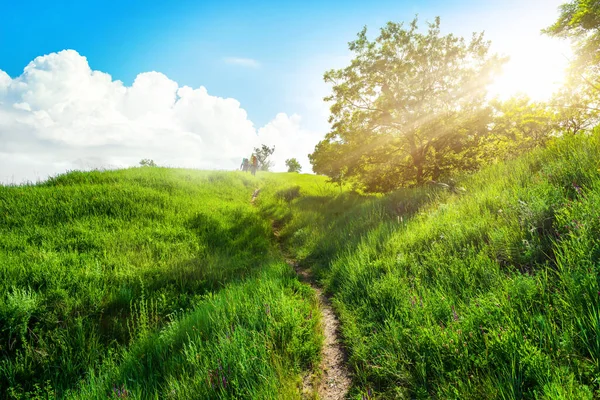 Fußweg auf dem Feld — Stockfoto