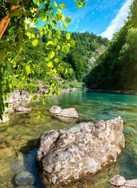 Tara řeka Černá Hora — Stock fotografie