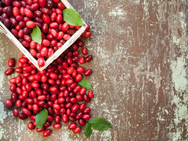 Red berries of organic cornel in a basketed clipart