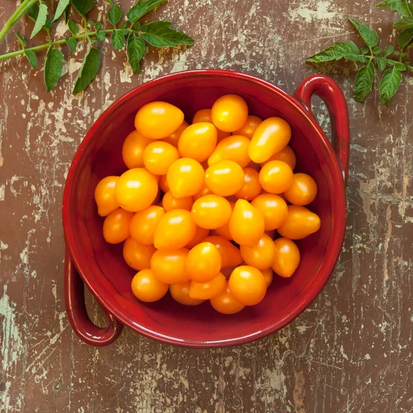 Organik sarı kiraz domates — Stok fotoğraf