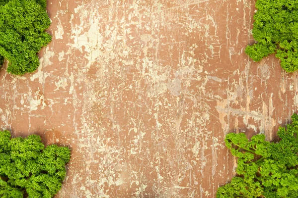 Ahşap zemin üzerine maydanoz yaprakları — Stok fotoğraf