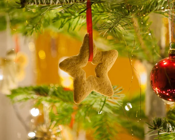 Decoraciones de Navidad de pan de jengibre — Foto de Stock