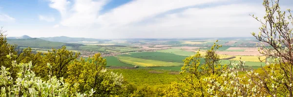 Panorama view at green fields — Stock Photo, Image