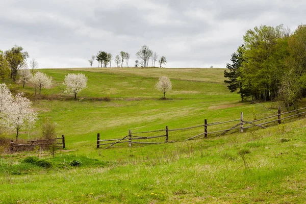 Ξύλινο φράχτη στην πλαγιά λόφου, σε αγροτική περιοχή — Φωτογραφία Αρχείου