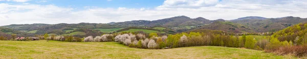 Bloeiende bomen en het panorama van de bergen — Stockfoto