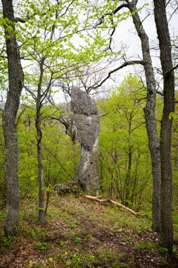 İğne kaya oluşumu