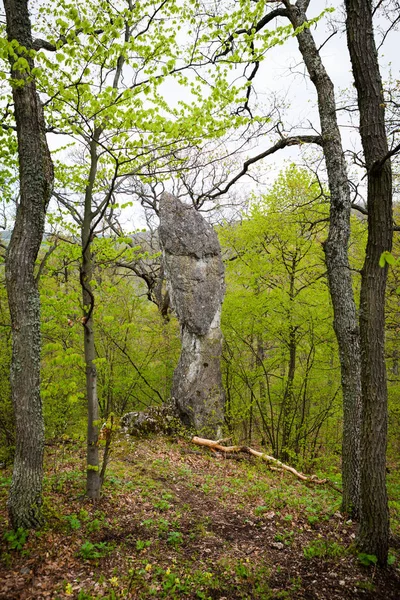 İğne kaya oluşumu