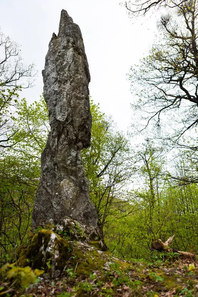 Rock pinnacle naald — Stockfoto