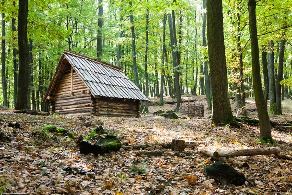 Liten stuga i höst skog — Stockfoto