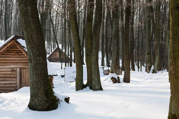 Wooden houses in snow covered forest — Stock Photo, Image