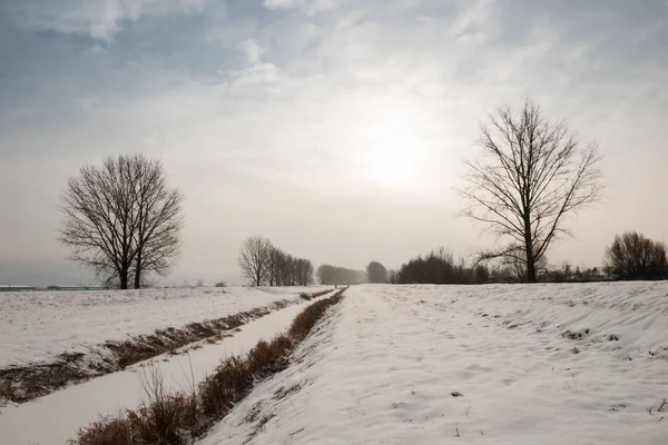 Peisaj de iarnă cu copaci lângă râu la răsărit — Fotografie, imagine de stoc