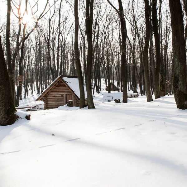 Houten huis in de bergen bedekt met sneeuw — Stockfoto