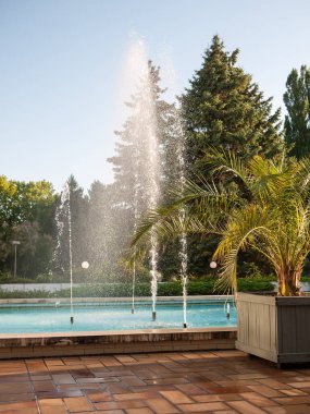 Arka planda ağaçlar olan küçük bir jet çeşmesi