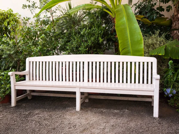 White Wooden Bench Park Trees Background — Stock Photo, Image