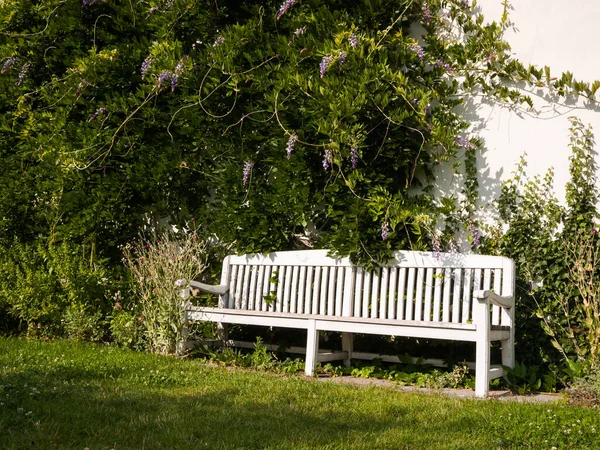 Weiße Bank Unter Glyzinien Baum Sonnigem Teil Des Parks Stockbild