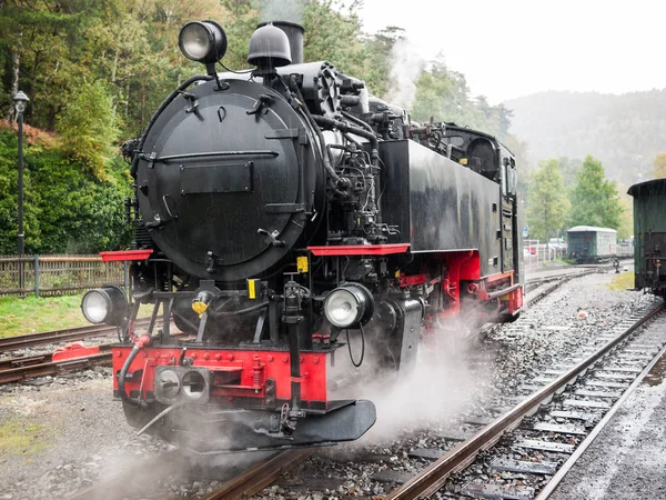 Utsikt Över Smalspårig Järnväg Lok Stationen Stockbild