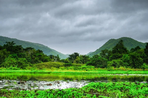 Vacker utsikt från gröna dalen fjällbäck landskap till ri — Stockfoto