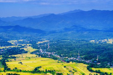 Dağ Yeşil Vadi dere manzara güzel görünümünden RI için