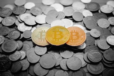 Tay paralar siyah ve beyaz, Litec üzerine üzerine altın bitcoin