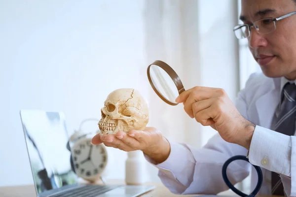 Joven Doctor con una lupa y mirando el skul humano — Foto de Stock