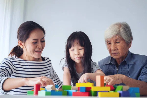 Multi-generation Female members of a family play wooden cubes co — Stock Photo, Image