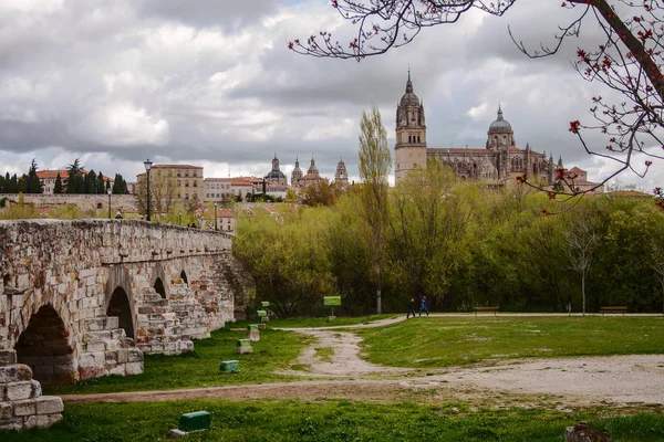 Uitzicht op de kathedraal van Salamanca — Stockfoto