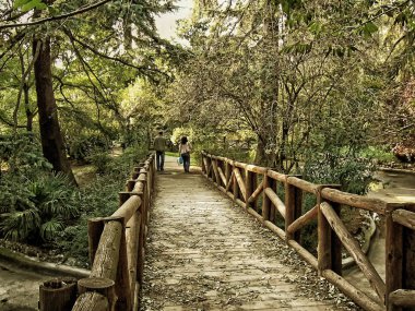 küçük ahşap köprü