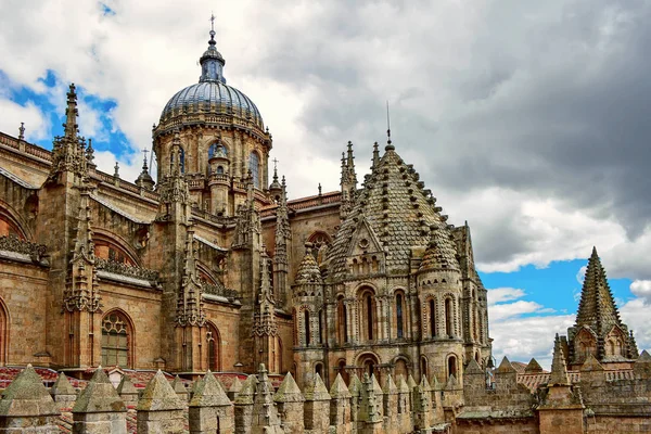 Salamanca Cathedral — Stok fotoğraf