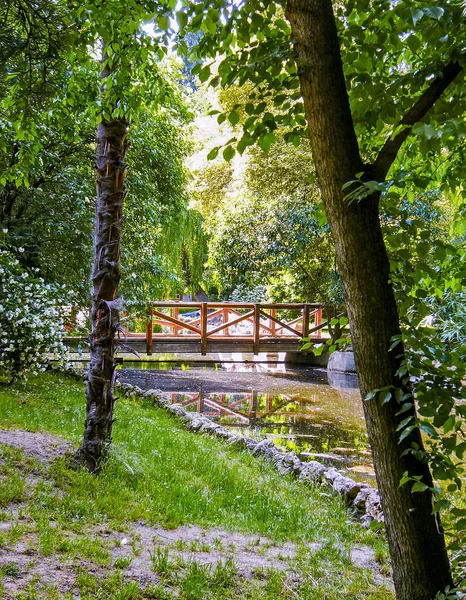 Kleine Holzbrücke — Stockfoto