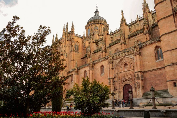 Vista de la Nueva Catedral de Segovia —  Fotos de Stock
