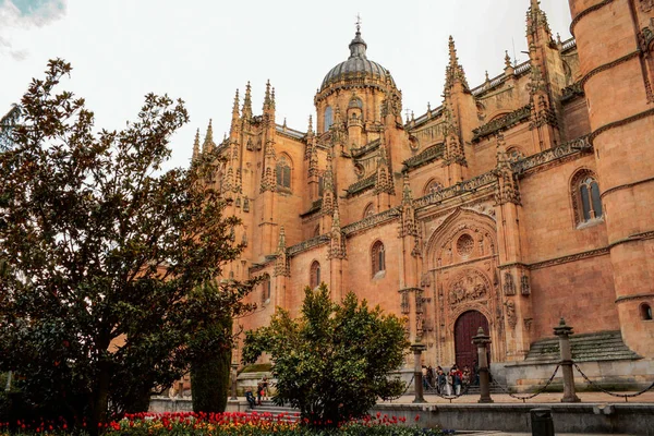 Vista de la Catedral de Segovia —  Fotos de Stock