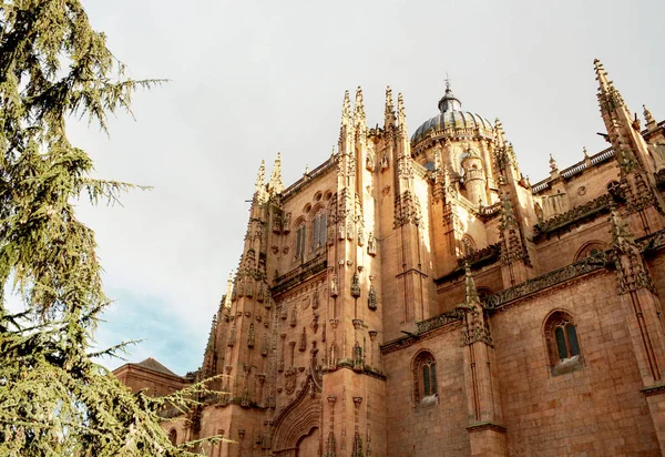 Catedral de Salamanca Imágenes De Stock Sin Royalties Gratis