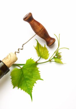 tirbuşon ve bir şişe mantarı