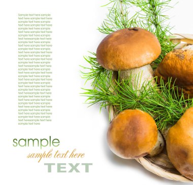 Porcini mantarlı sepet.