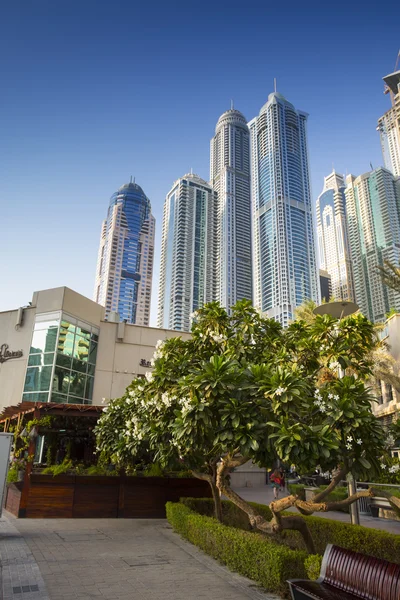Dubai Marina city — Stock Photo, Image