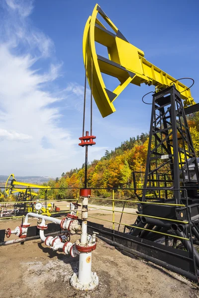 Rusya'nın petrol pompa — Stok fotoğraf