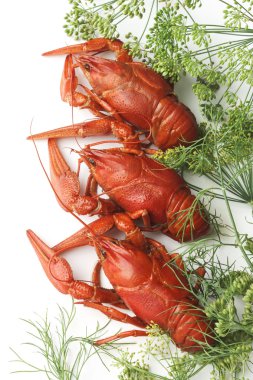boiled red lobsters clipart