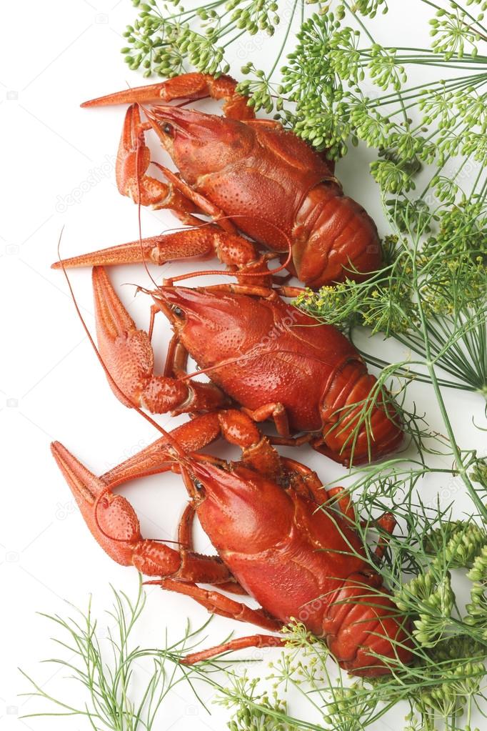 boiled red lobsters