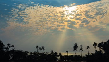 Güzel tropikal plaj