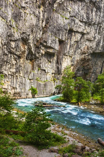 Landscape in Abkhazia with river — Stock Photo, Image
