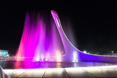 Olimpiyat Oyunları 2014 ana sembolü