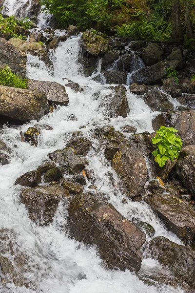 Paisaje en Abjasia con río — Foto de Stock