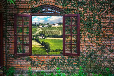 çevre Yang Bay şelale 