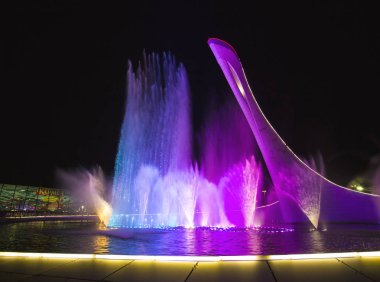 Sochi, Rusya - 22 Haziran 2016: Olimpiyat meşalesinin 